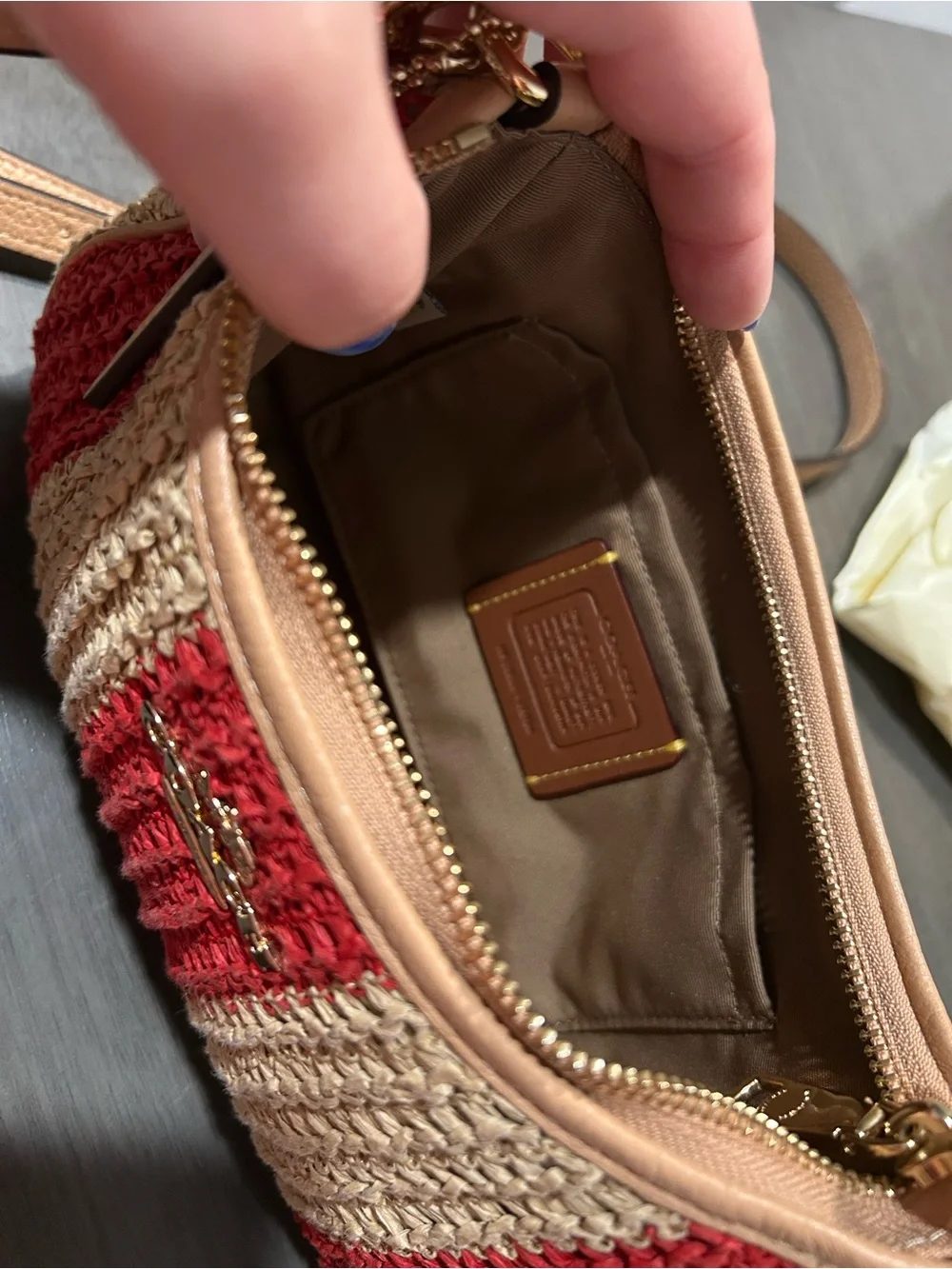 Coach Teri Shoulder bag & crossbody